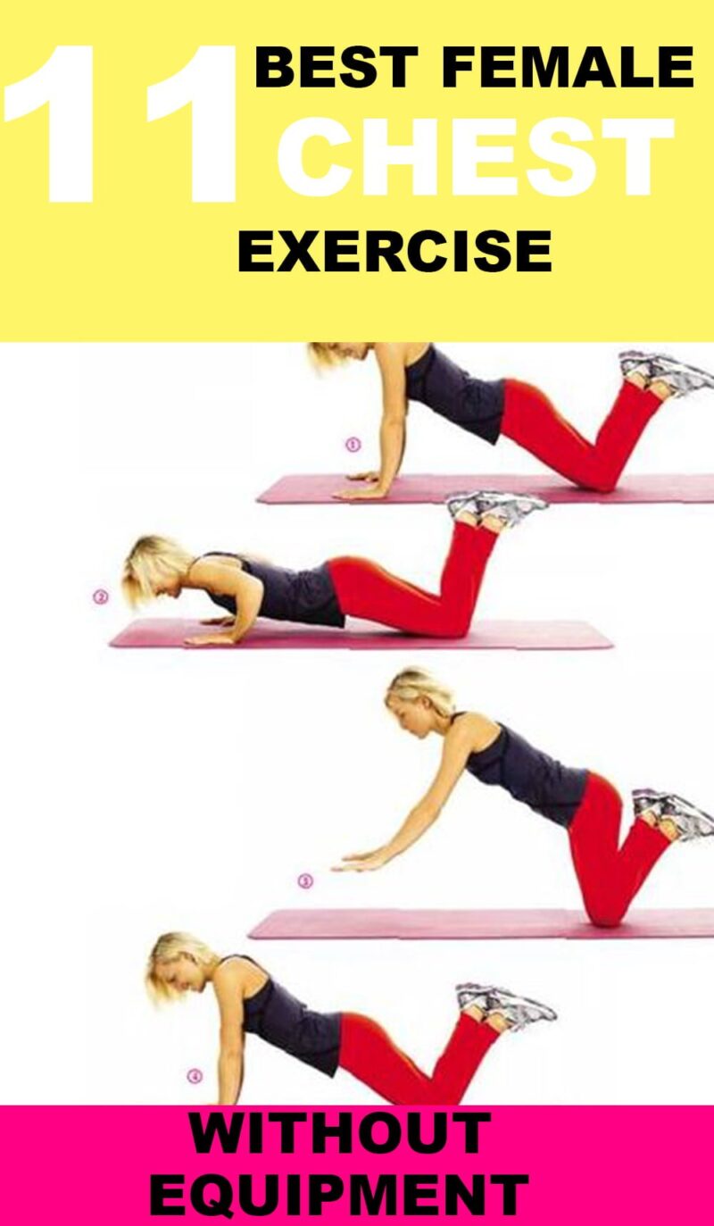 11 Best Female Chest Workout At Home Without Equipment ShapeMiNow