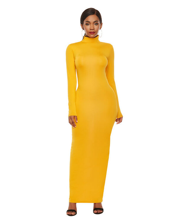 Turtle Long Sleeve Maxi Bodycon Dress