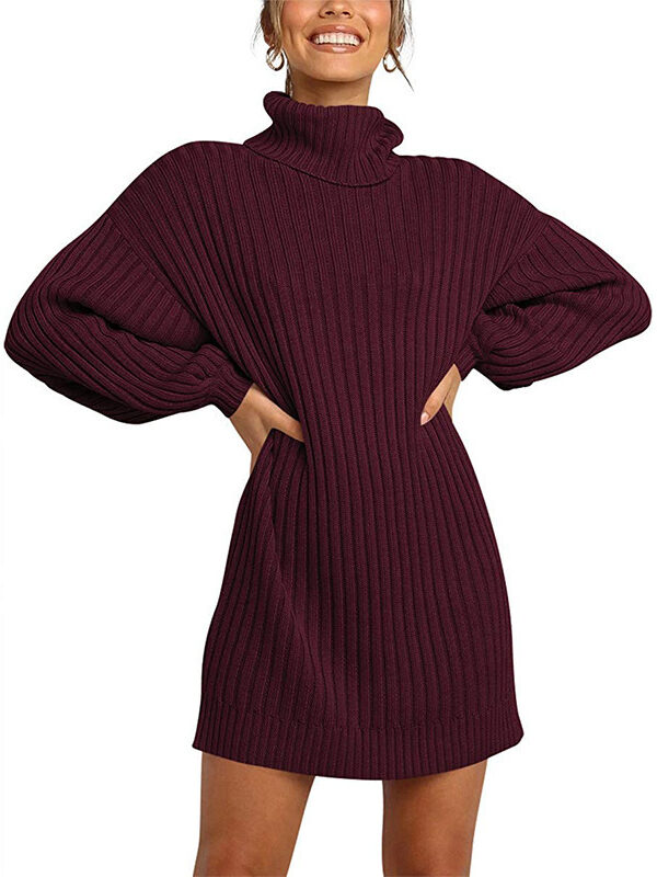 Turtle Collar Mid-Length Sweater Dress