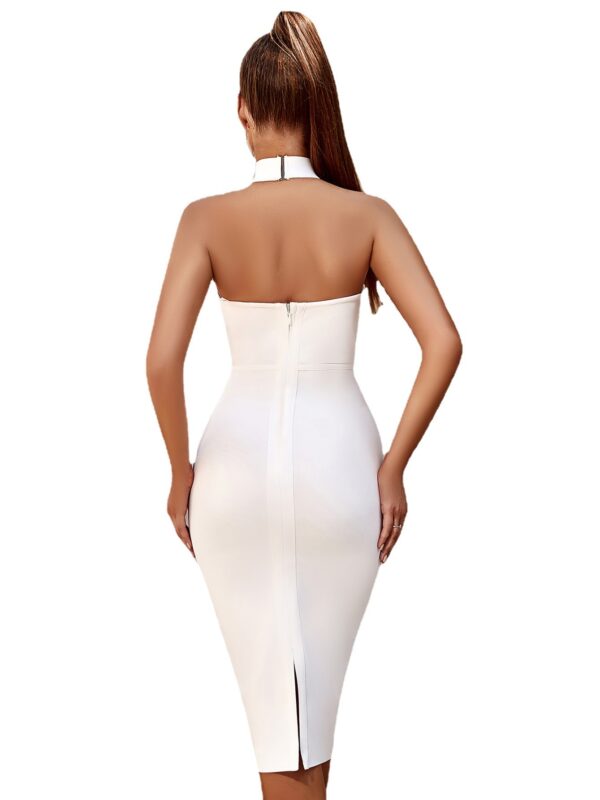 Stand Turtle Collar Tube Bandage Dress