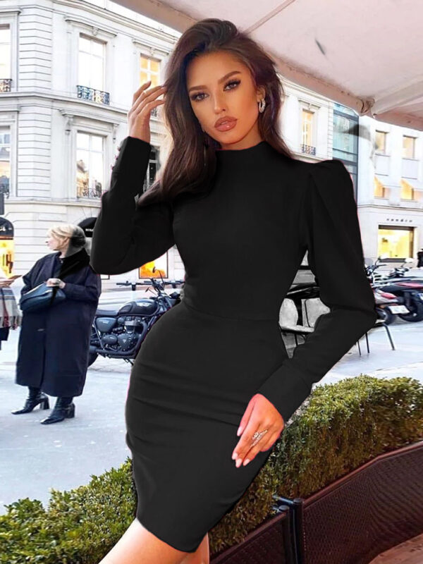 Women High Neck Bodycon Black Dress 2