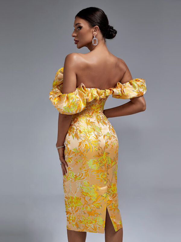 Shapeminow Jacquard evening dress