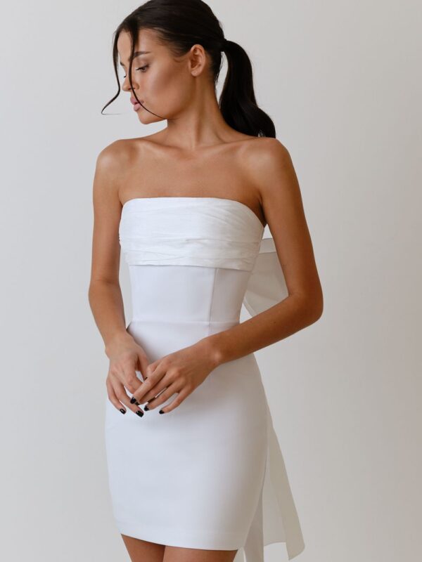 Puff Butterfly Bow Mini Dress