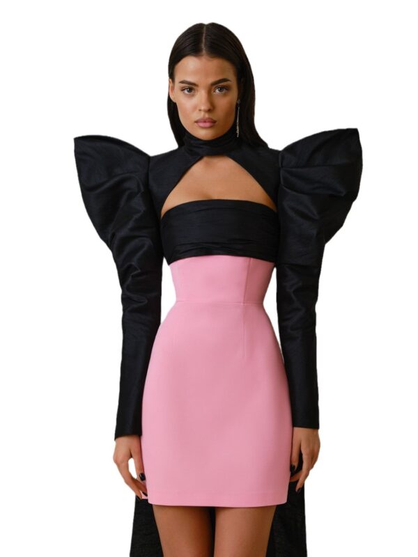 Puff Butterfly Bow Mini Dress
