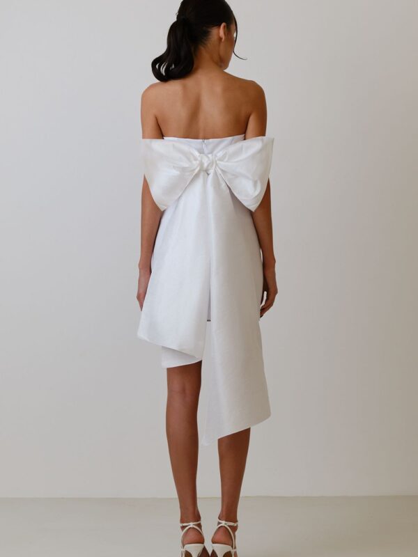 Puff Butterfly Bow Mini Dress