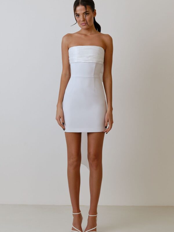 Puff Butterfly Bow Mini Dress