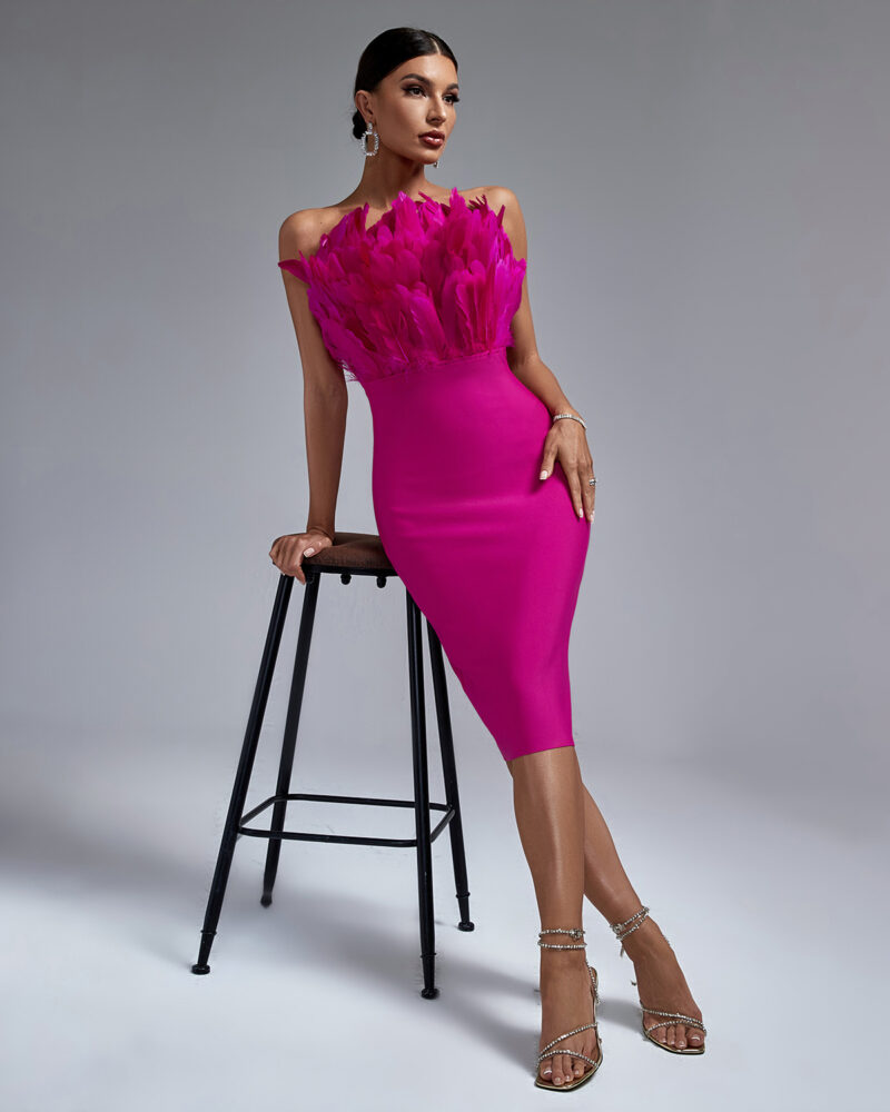 shapeminow Statement Tube Top Feather Bandage Dress shapeminow | ShapeMiNow is your go-to store for all kinds of body shapers, dresses, and statement pieces.
