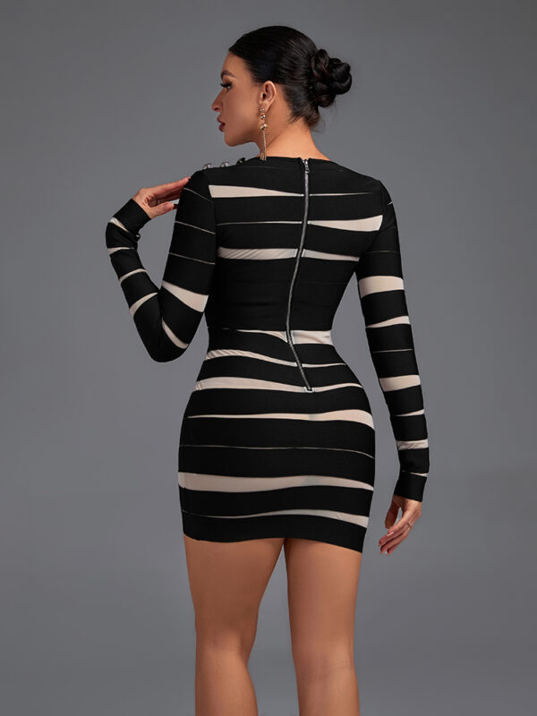 Autumn Mesh Long Sleeve Dress 4