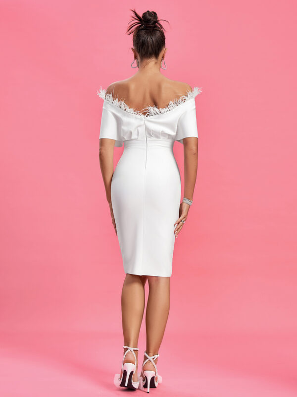 Flattering Off Shoulder Feather Trim Dress 1