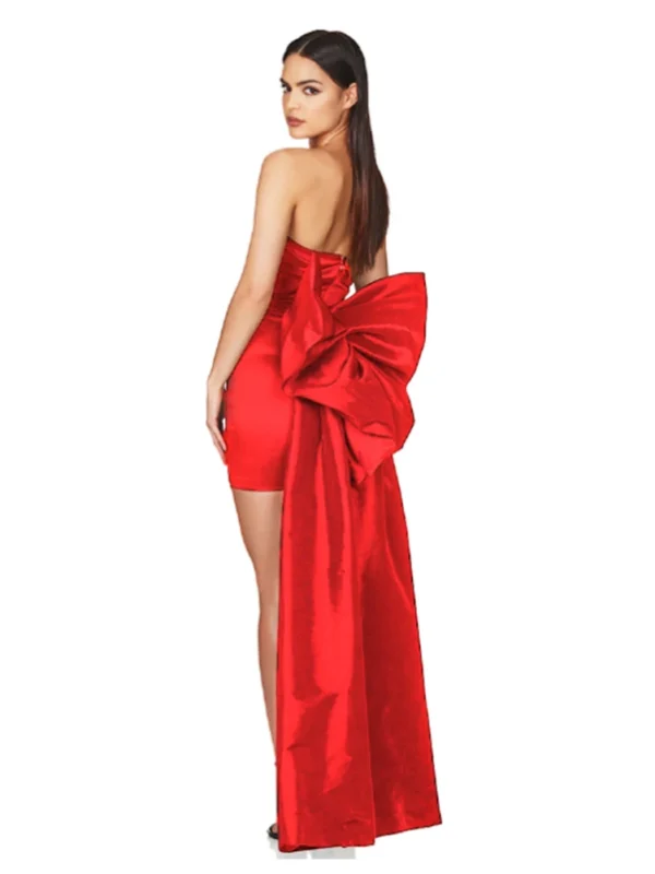 Detachable Big Bow Straplesss Mini Dress