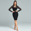 Mesh Bodice Cutout Bodycon Dress Black 1