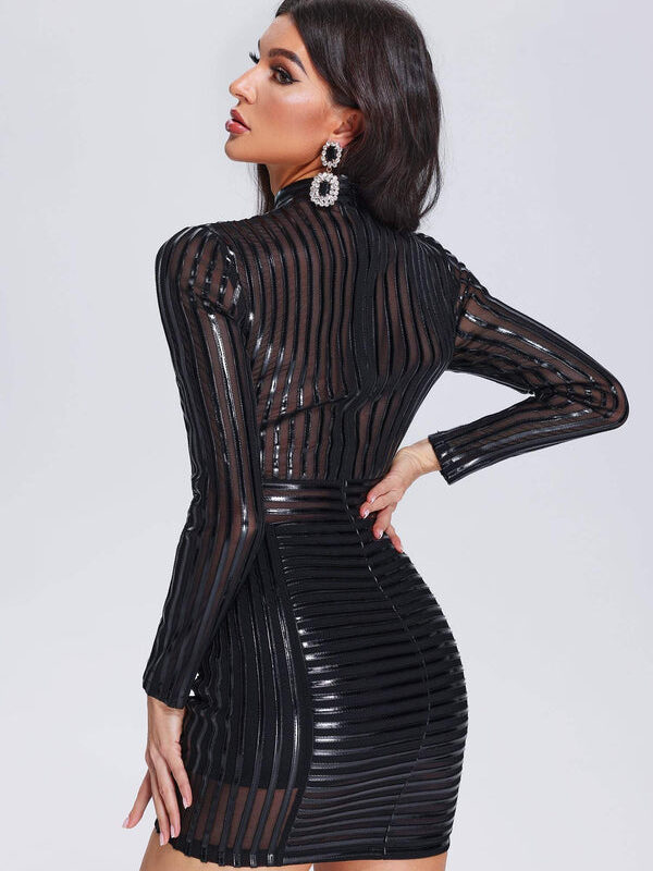 Celebrity Designer Mesh Party Dress 2