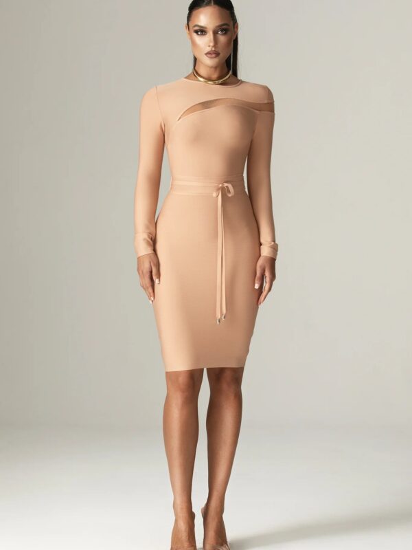 Classic Cut Out Mesh Bandage Dress 3