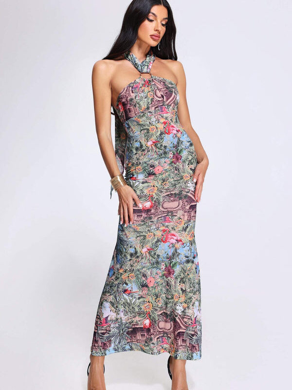 Eva Halter Printed Maxi Dress 1