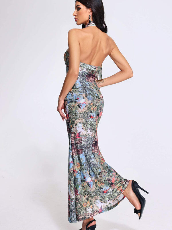 Eva Halter Printed Maxi Dress 3