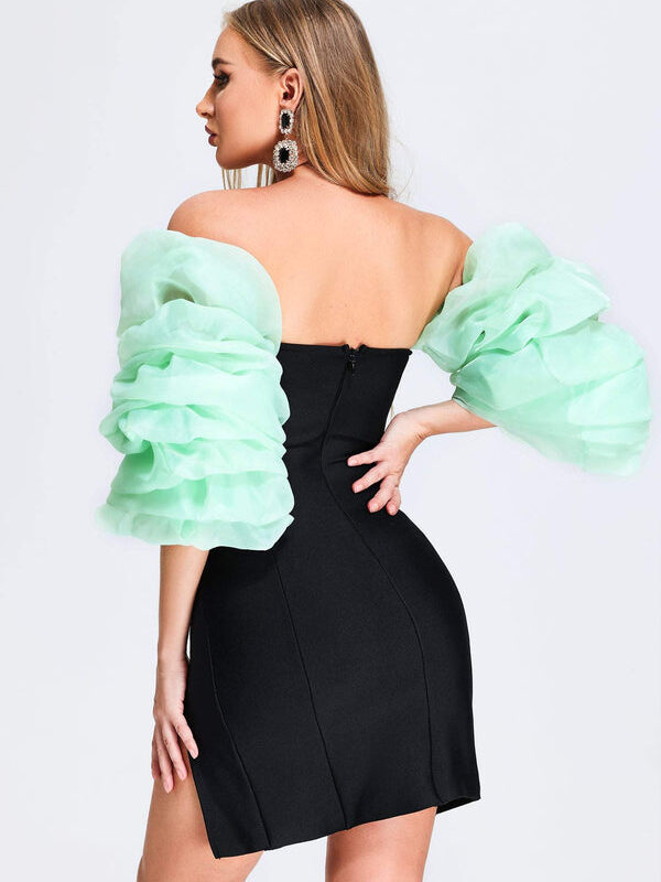 Mimi Puff Sleeve Mini Dress 3