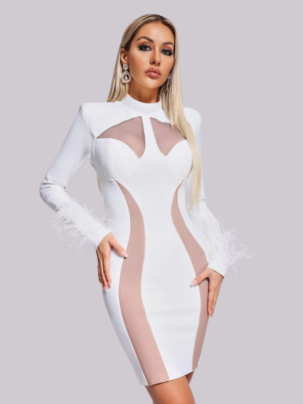 Ostrich Mesh Feather Turtleneck Dress 3