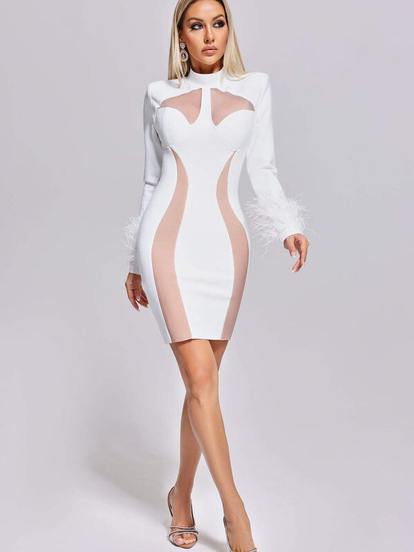 Ostrich Mesh Feather Turtleneck Dress 4