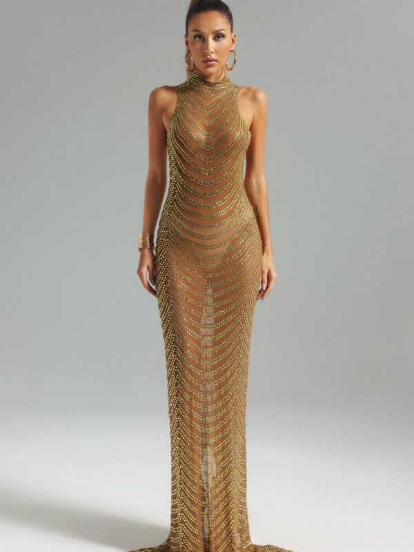 Turtleneck Mesh Maxi Dress