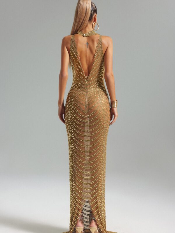 Turtleneck Mesh Maxi Dress