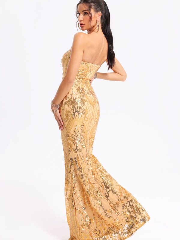 Mary Gold Sequins Dress