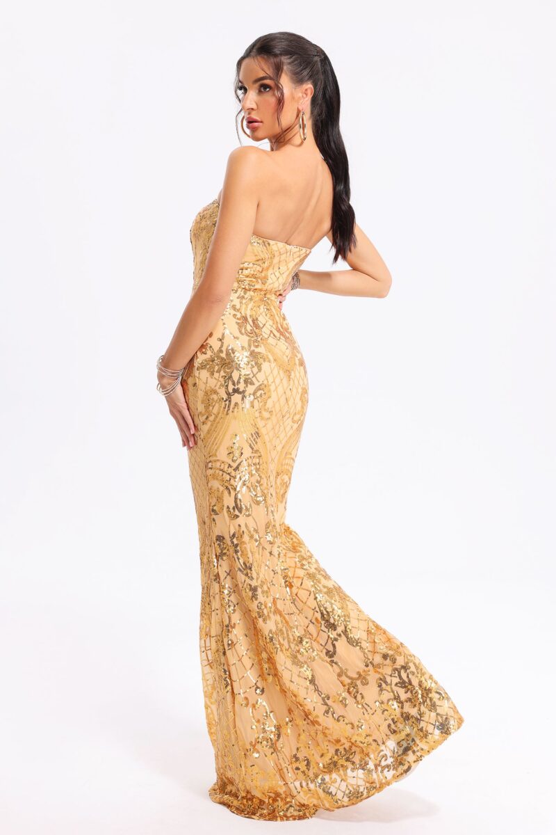 Mary Gold Sequins Dress