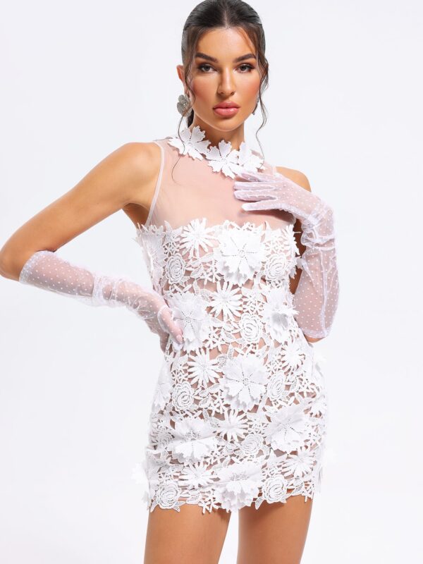 Mira Lace Mini Dress