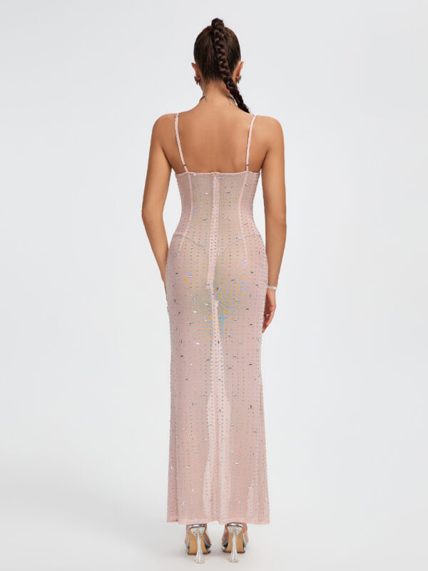 Indie Embellished Mesh Maxi Dress 1
