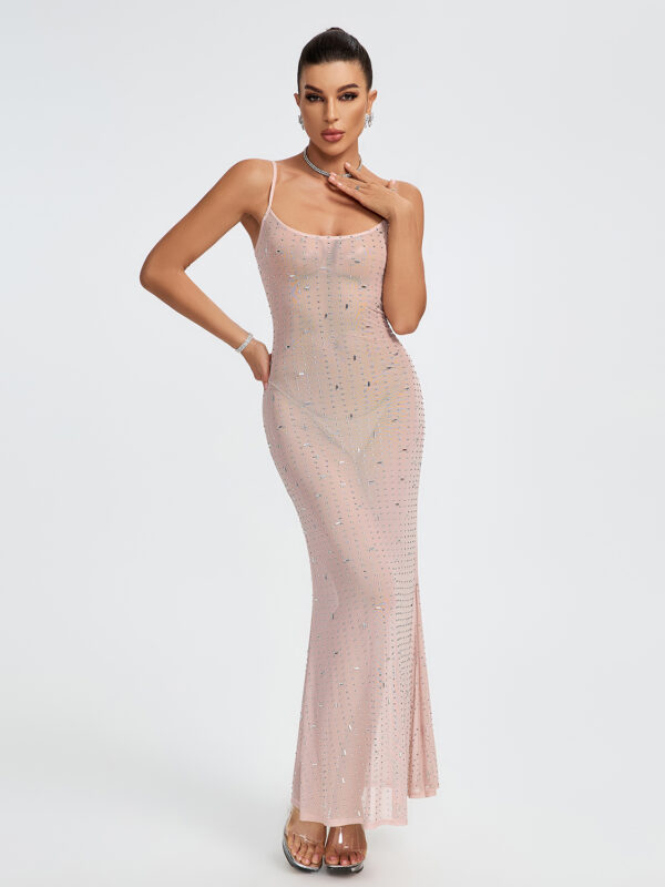 Indie Embellished Mesh Maxi Dress 2