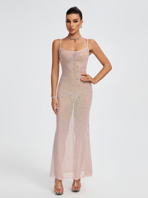Indie Embellished Mesh Maxi Dress 4