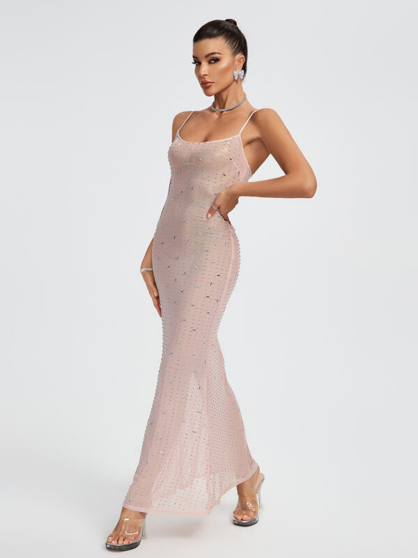 Indie Embellished Mesh Maxi Dress 5