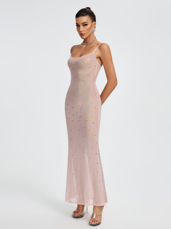 Indie Embellished Mesh Maxi Dress 6