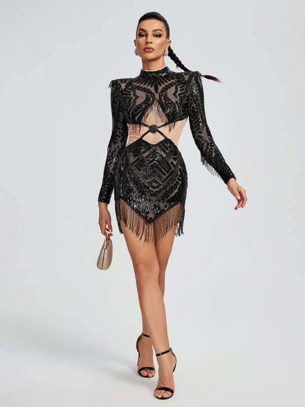 Sparkly Mesh Sequins Beading Mini Dress 5