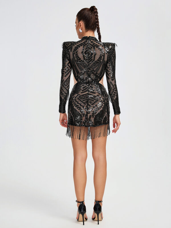 Sparkly Mesh Sequins Beading Mini Dress 6